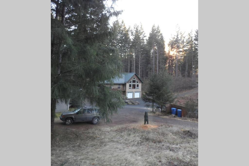 Mountainside Chalet - Tiny Home Packwood Exterior foto